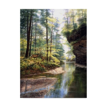 Bill Makinson 'Quiet Forest' Canvas Art,35x47